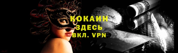 гашик Мегион
