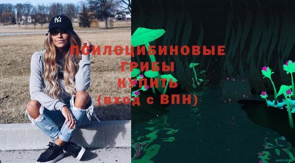 PSILOCYBIN Михайловск