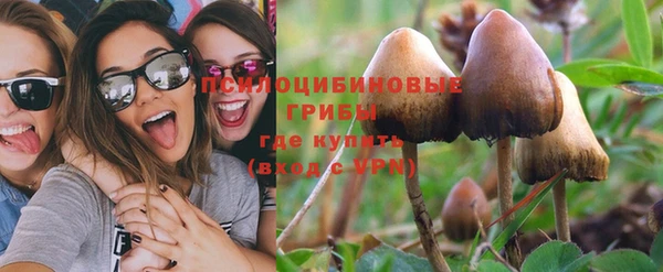 PSILOCYBIN Горнозаводск