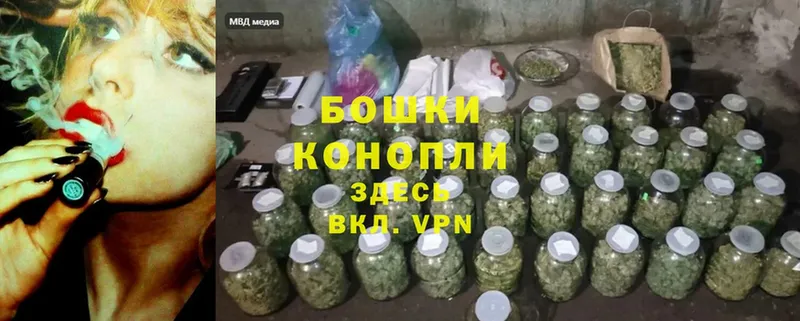 Конопля THC 21%  Куровское 